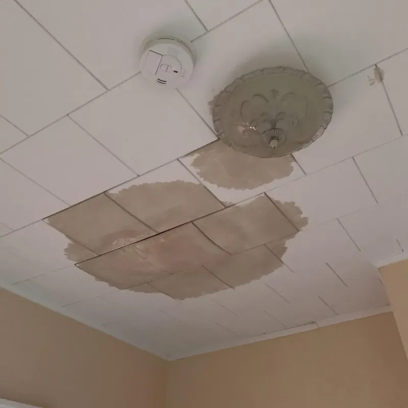 Ceiling Water Damage Repair in Portageville, MO